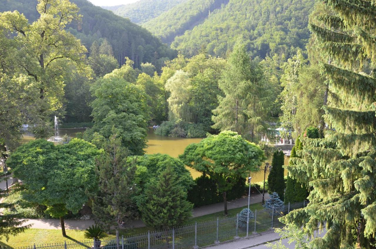 Floravilla Rajecké Teplice Exteriör bild
