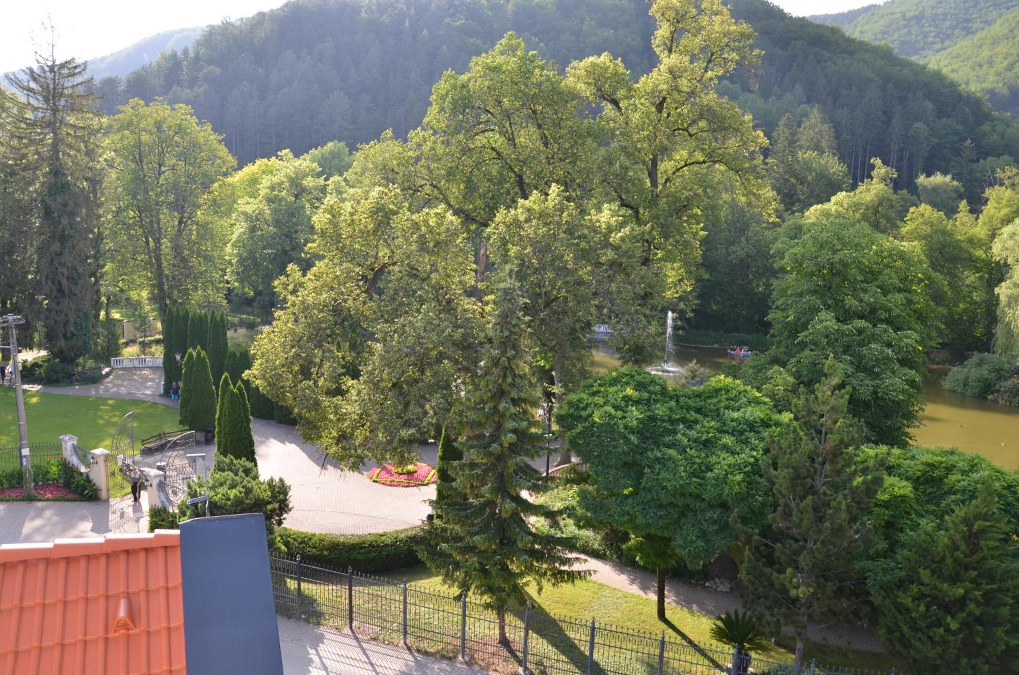 Floravilla Rajecké Teplice Exteriör bild